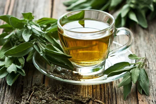 Importancia del té en nuestra vida